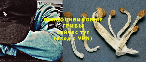 ALPHA-PVP Гусь-Хрустальный