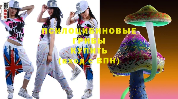 дмт Гусиноозёрск