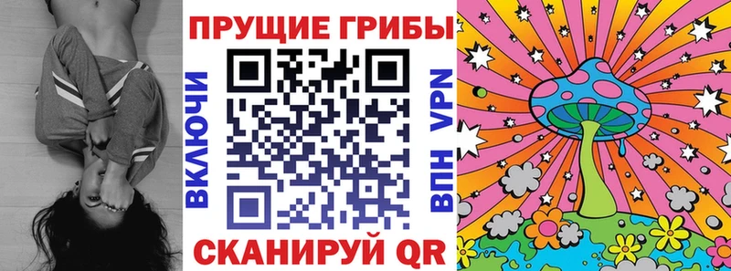 Псилоцибиновые грибы MAGIC MUSHROOMS  Чухлома 